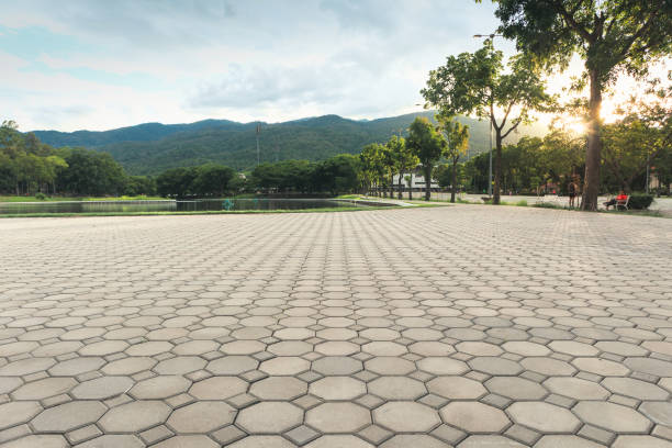 Best Local Driveway Pavers  in Ogallala, NE